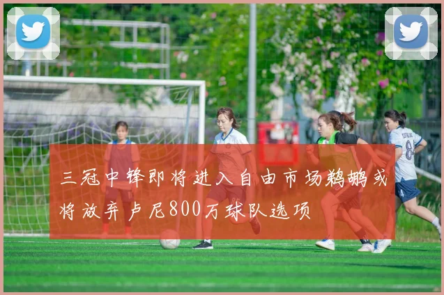 三冠中锋即将进入自由市场鹈鹕或将放弃卢尼800万球队选项